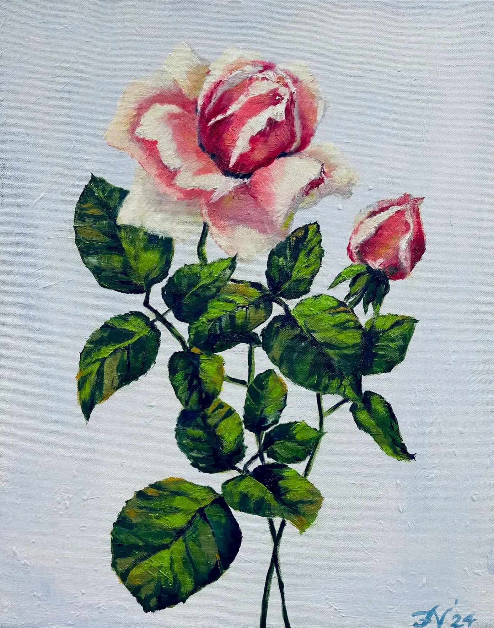 Engelse roos