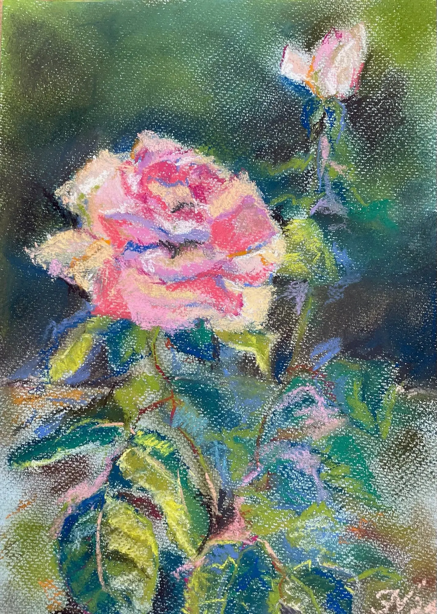 Engelse roos