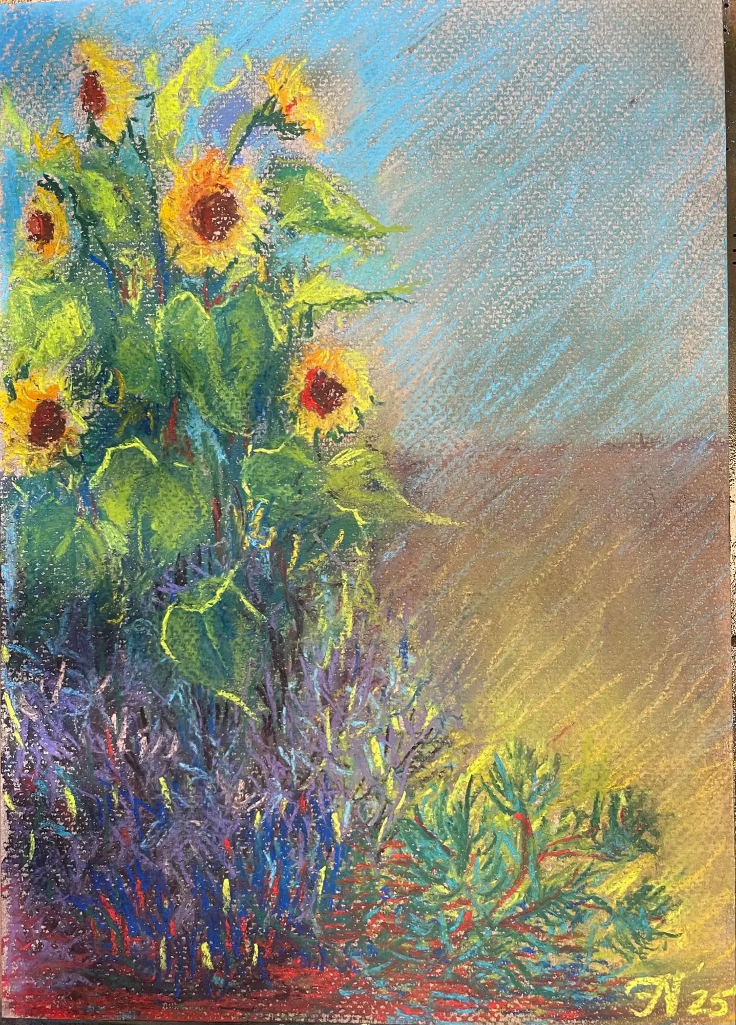 Zonnebloemen in tuin