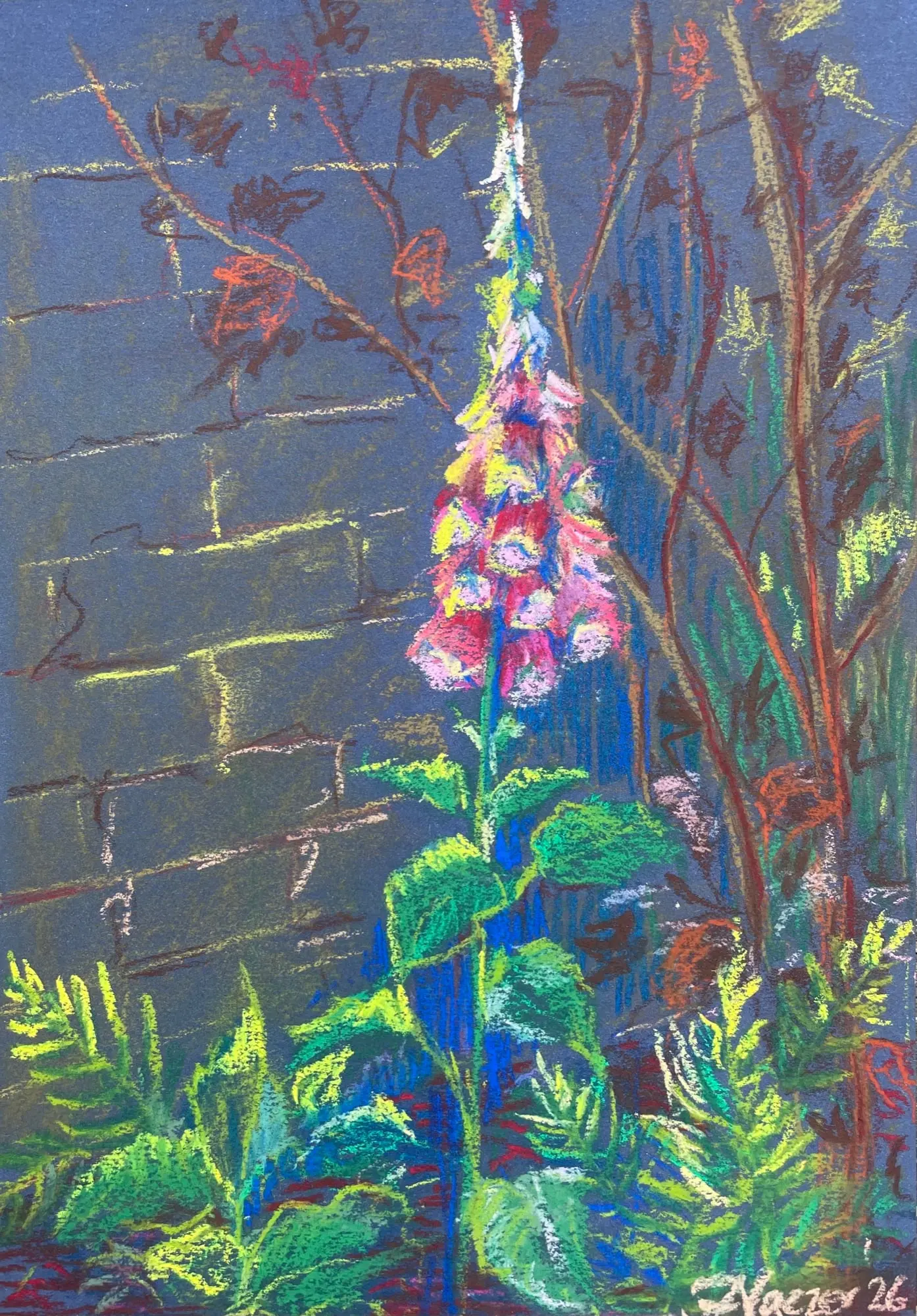 Digitalis in tuin